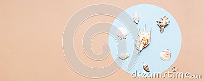 Sea shells Ñreative layout. Summer or vacation concept. Seashells pattern. Stock Photo